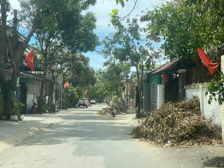 Nghệ An: Hơn 10 ng&agrave;y sau b&atilde;o số 5, c&acirc;y xanh g&atilde;y đổ vẫn ngổn ngang đường phố Vinh- Ảnh 3.