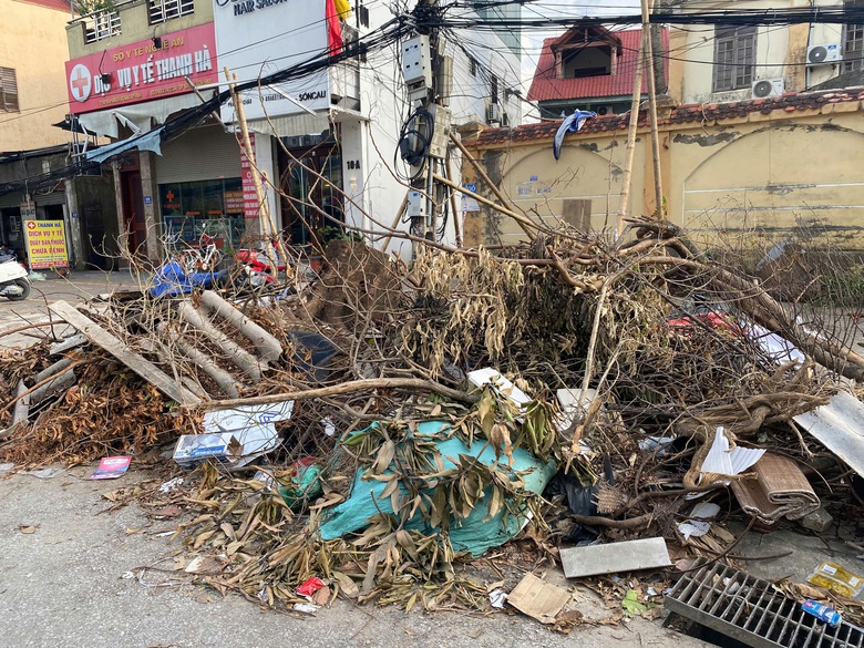 Nghệ An: Hơn 10 ng&agrave;y sau b&atilde;o số 5, c&acirc;y xanh g&atilde;y đổ vẫn ngổn ngang đường phố Vinh- Ảnh 1.