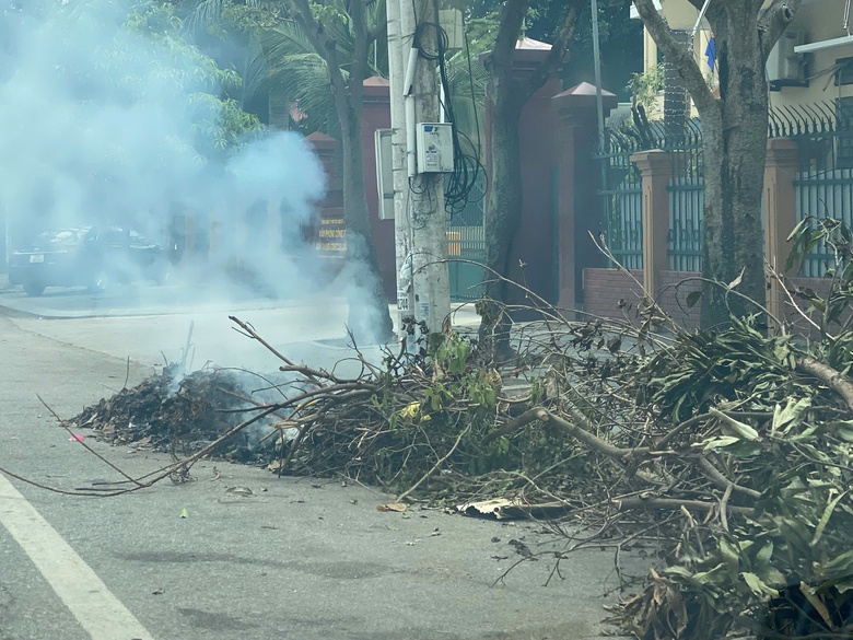 Nghệ An: Hơn 10 ng&agrave;y sau b&atilde;o số 5, c&acirc;y xanh g&atilde;y đổ vẫn ngổn ngang đường phố Vinh- Ảnh 7.