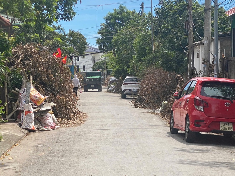 Nghệ An: Hơn 10 ng&agrave;y sau b&atilde;o số 5, c&acirc;y xanh g&atilde;y đổ vẫn ngổn ngang đường phố Vinh- Ảnh 2.