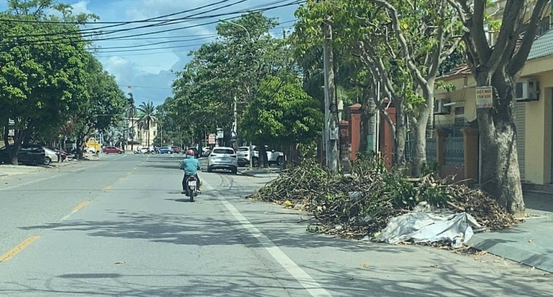 Nghệ An: Hơn 10 ng&agrave;y sau b&atilde;o số 5, c&acirc;y xanh g&atilde;y đổ vẫn ngổn ngang đường phố Vinh- Ảnh 5.