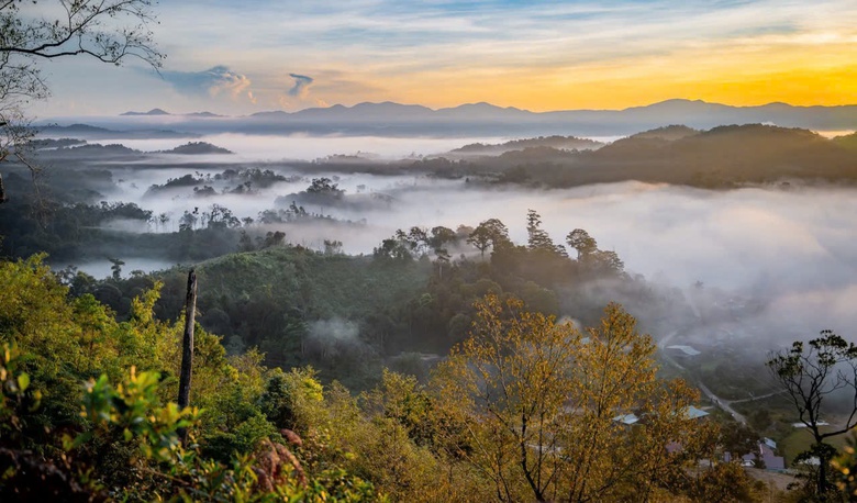 Đến Măng Đen ngắm hoa anh đào đón năm mới- Ảnh 11. Đến Măng Đen ngắm hoa anh đào đón năm mới- Ảnh 11.