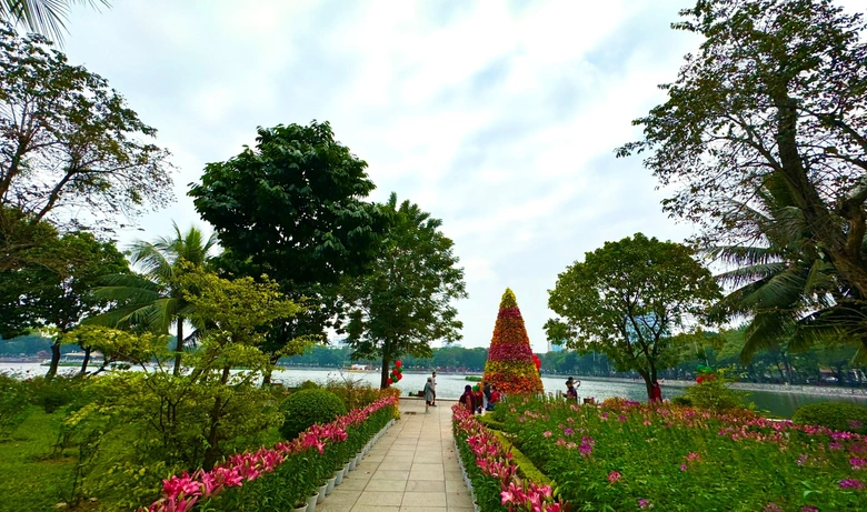 Ng&agrave;y 11/1 ch&iacute;nh thức được x&aacute;c lập l&agrave; Ng&agrave;y C&acirc;y xanh Việt Nam- Ảnh 1.