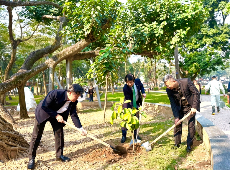 Bộ X&acirc;y dựng ph&aacute;t động Ng&agrave;y C&acirc;y xanh Việt Nam: H&agrave;nh động v&igrave; đ&ocirc; thị bền vững- Ảnh 2.