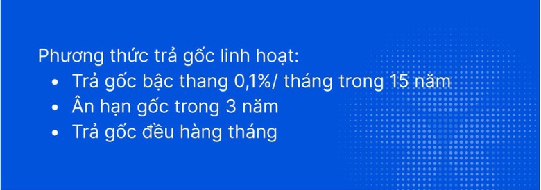 Cách VIB dùng công nghệ trao quyền tài chính cho người vay- Ảnh 3.