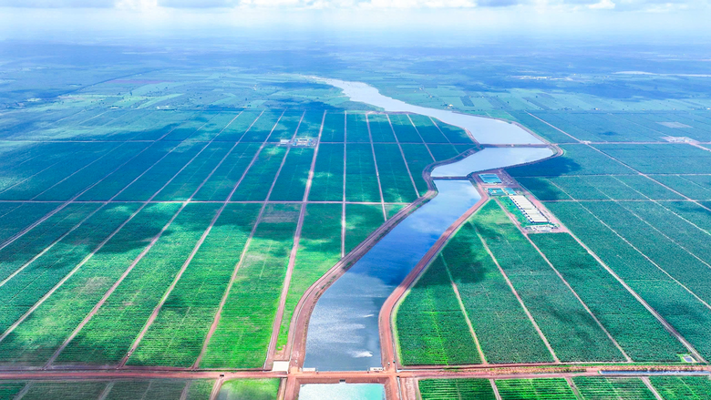 Khi nhà sản xuất ô tô Thaco làm nông nghiệp- Ảnh 1. Khi nhà sản xuất ô tô Thaco làm nông nghiệp- Ảnh 1.