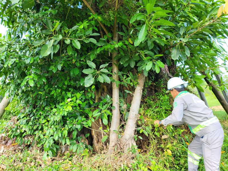 Quảng Ngãi chính thức ban hành quy định về quản lý dịch vụ công sau nhập tỉnh- Ảnh 2. Quảng Ngãi chính thức ban hành quy định về quản lý dịch vụ công sau nhập tỉnh- Ảnh 2.