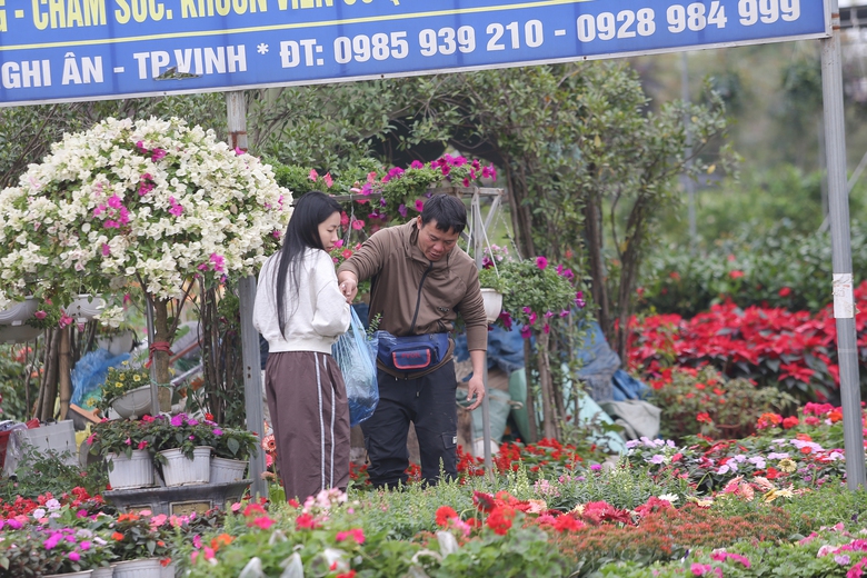 Nghệ An: Hoa v&agrave; c&acirc;y cảnh Tết tấp nập xuống phố- Ảnh 4.