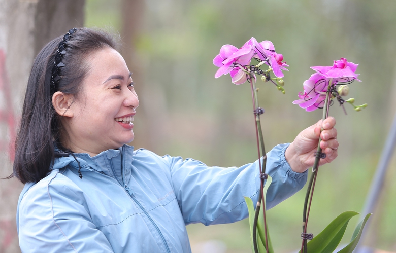 Nghệ An: Hoa v&agrave; c&acirc;y cảnh Tết tấp nập xuống phố- Ảnh 10.