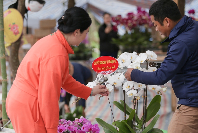 Nghệ An: Hoa v&agrave; c&acirc;y cảnh Tết tấp nập xuống phố- Ảnh 11.