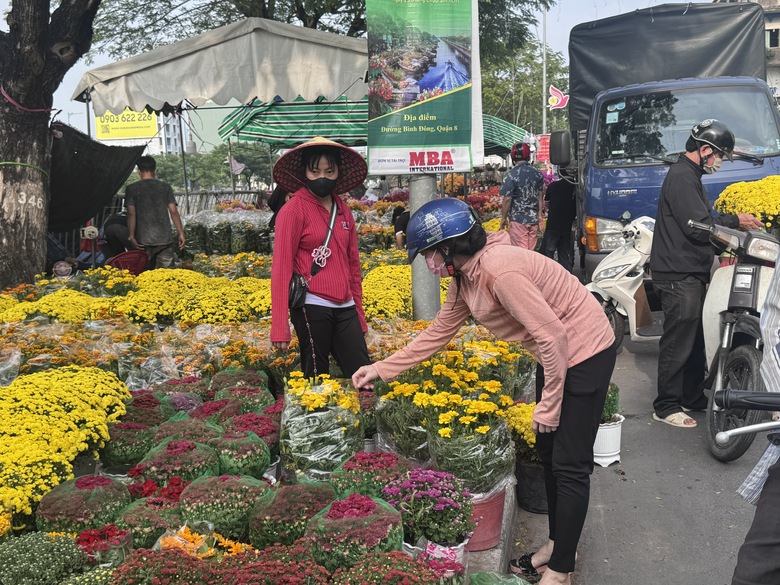 Chợ hoa Tết B&igrave;nh Đ&ocirc;ng 2026: Kh&ocirc;ng gian văn h&oacute;a lễ hội giữa l&ograve;ng TP.HCM- Ảnh 1.