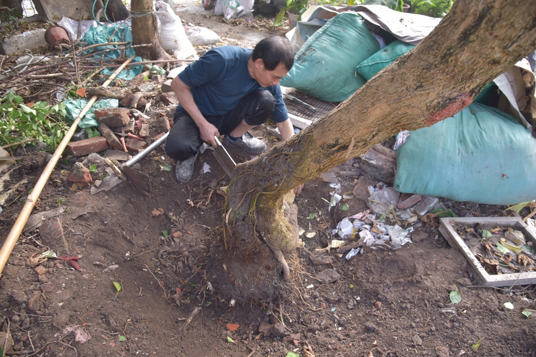 H&agrave; Nội: Giải ph&oacute;ng mặt bằng, đẩy nhanh dự &aacute;n đường qua l&agrave;ng nghề Hữu H&ograve;a- Ảnh 7.