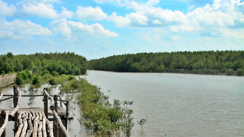 C&agrave; Mau: Gần 100 tỷ đồng quản l&yacute; rừng bền vững ở Đất Mũi- Ảnh 1.