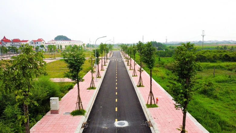 Đấu gi&aacute; đất "mở h&agrave;ng" đầu năm mới 2026- Ảnh 1.