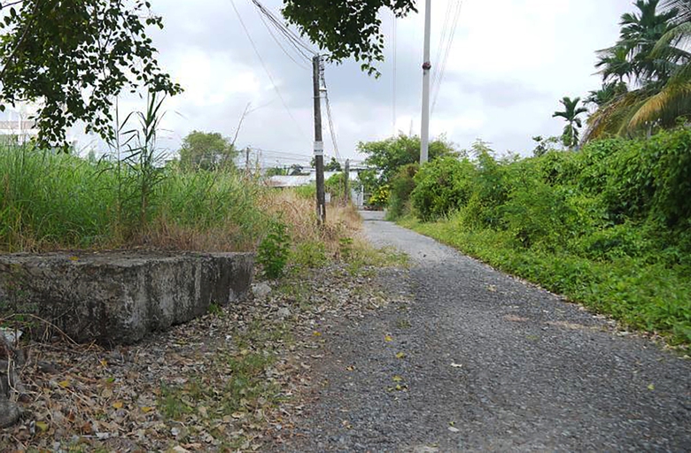 Cần Thơ: T&aacute;i khởi động dự &aacute;n cầu Trần Bạch Đằng sau 10 năm "bất động"- Ảnh 1.