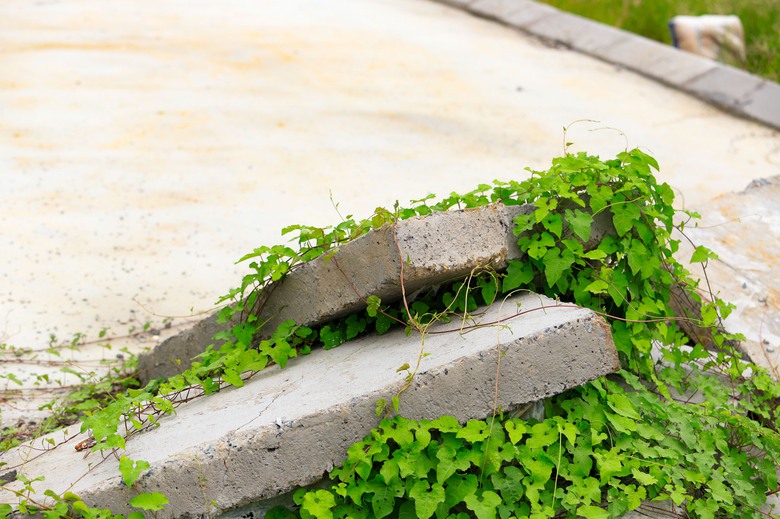 Có được xây dựng trên đất khai hoang, lấn chiếm?- Ảnh 1. Có được xây dựng trên đất khai hoang, lấn chiếm?- Ảnh 1.