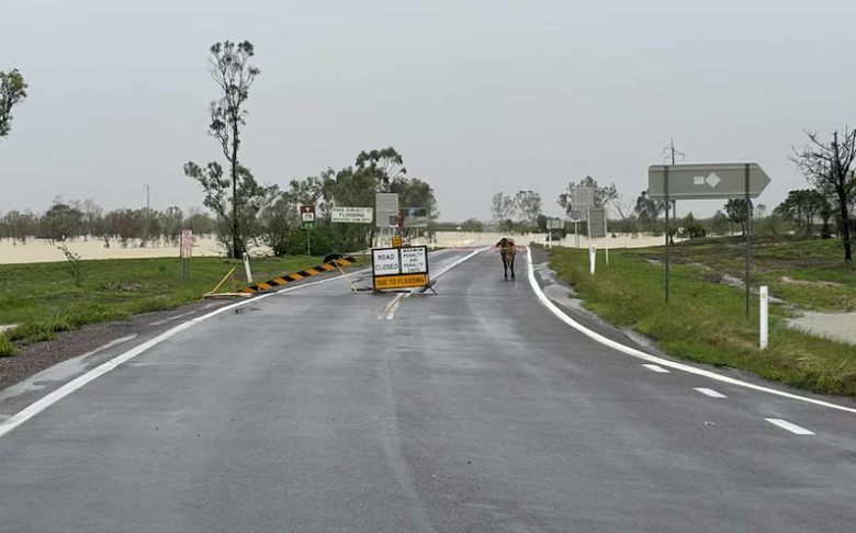 Australia khuyến c&aacute;o kh&ocirc;ng phụ thuộc ứng dụng chỉ đường, tr&aacute;nh mắc kẹt giữa đường ngập- Ảnh 1.