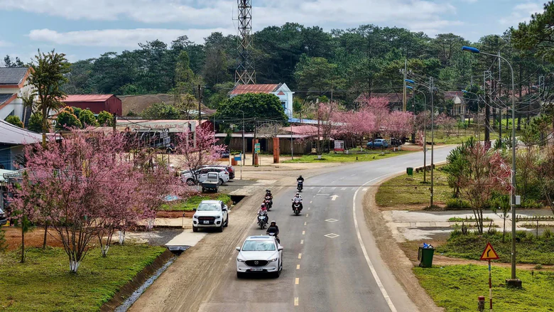Quảng Ngãi: Đề nghị giao hơn 200ha đất để khởi công Khu đô thị gần 6.700 tỷ đồng - Ảnh 1.