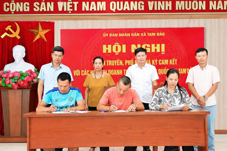 Phú Thọ: Xã Tam Đảo tăng cường quản lý đất đai, xây dựng, tạo nền tảng phát triển kinh tế- Ảnh 12.