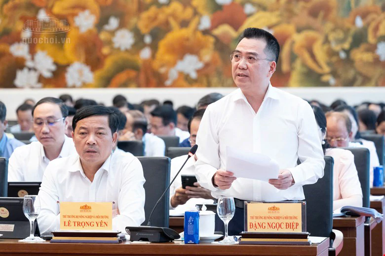 Hạn chế tối đa việc thu hồi đất ở của người dân chỉ nhằm đấu giá tạo nguồn thu- Ảnh 2.