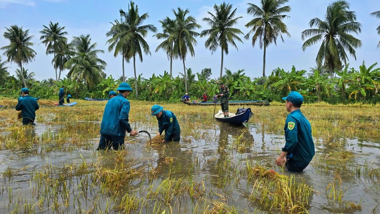 Cà Mau: Khẩn trương dặm vá quốc lộ 1, thoát nước sau mưa lớn kèm triều cường - Ảnh 2.