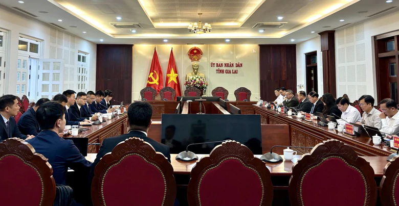 Gia Lai sắp có tổ hợp chăn nuôi heo công nghệ cao quy mô 2 triệu con- Ảnh 2.