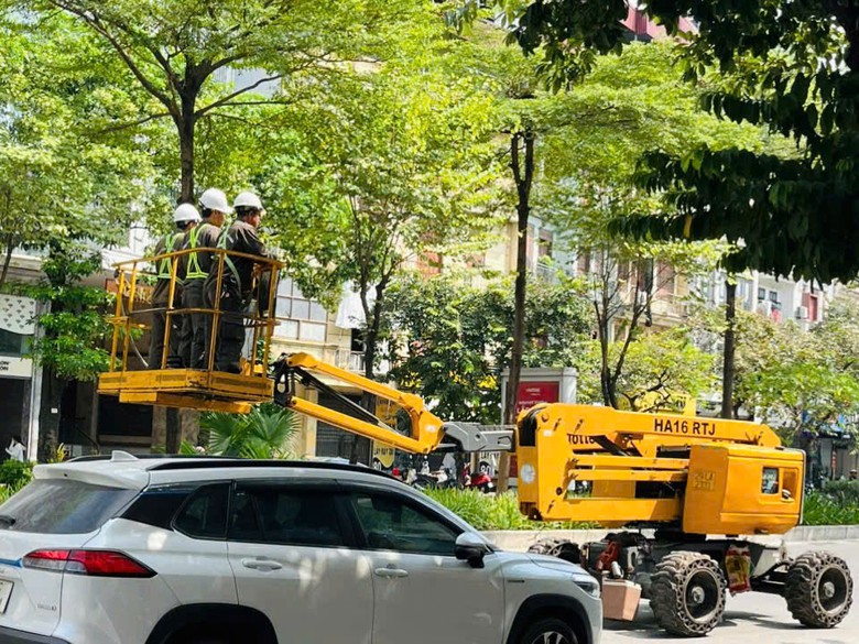 Hà Nội đồng loạt cắt tỉa 992 cây hoa sữa trên 13 tuyến phố - Ảnh 5.