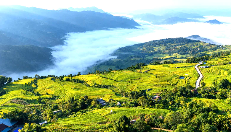 Rực rỡ sắc vàng giữa vùng sơn cước Tuyên Quang- Ảnh 6.