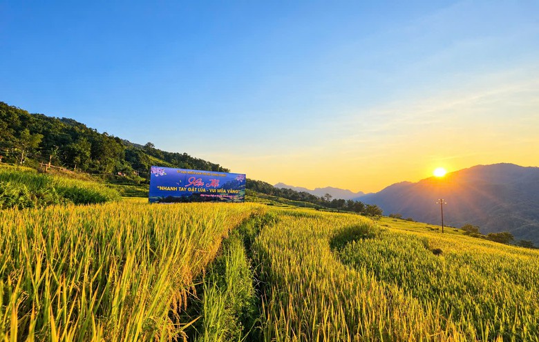 Rực rỡ sắc vàng giữa vùng sơn cước Tuyên Quang- Ảnh 9.