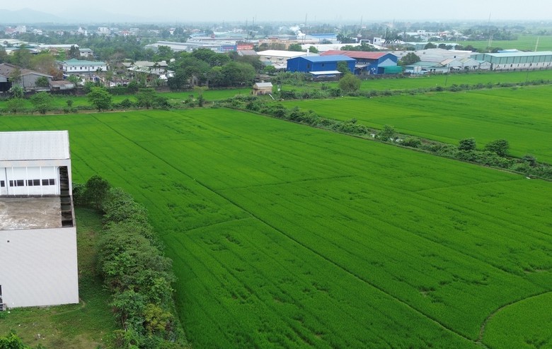 Huế: Liên tục vi phạm tiến độ, một nhà thầu bị chấm dứt nhiều hợp đồng- Ảnh 1.