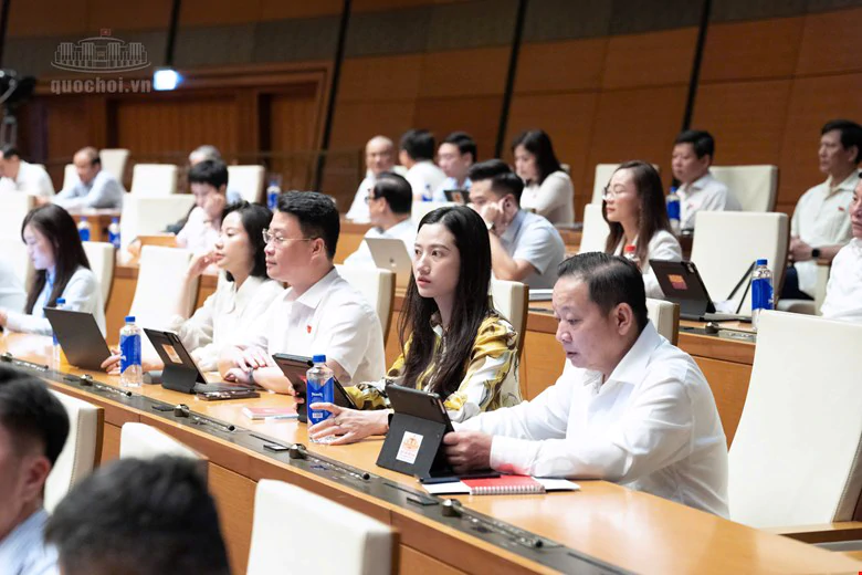Có thể bị cấm tham gia đấu giá đất tới 5 năm nếu trúng đấu giá nhưng "bỏ cọc"- Ảnh 2.