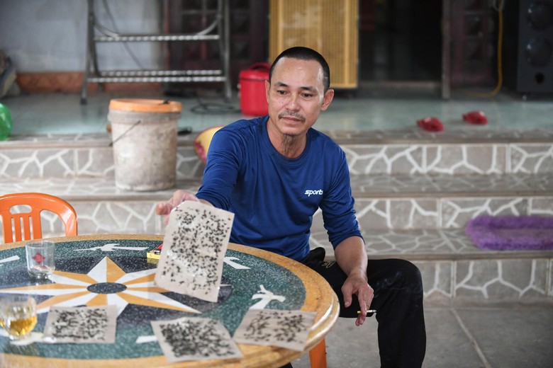 Mùi hôi vẫn nồng nặc từ trang trại gà ở Quảng Trị- Ảnh 3.