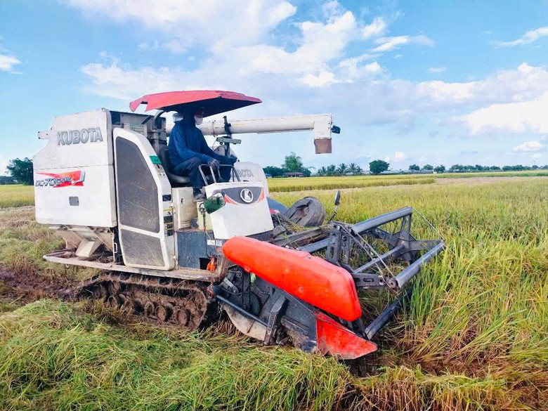 6 xã ở Hưng Yên hướng đến hoàn thành tiêu chí xã nông thôn mới hiện đại trước năm 2050- Ảnh 1.