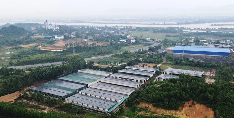 Mùi hôi vẫn nồng nặc từ trang trại gà ở Quảng Trị- Ảnh 2.