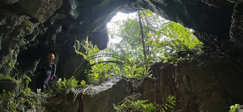 Bên trong hố sụt khổng lồ mới phát hiện ở Phong Nha - Kẻ Bàng- Ảnh 10.