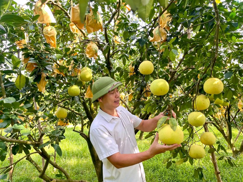 Hà Tĩnh: Đo sự phát triển bằng năng suất và đời sống người dân- Ảnh 2.