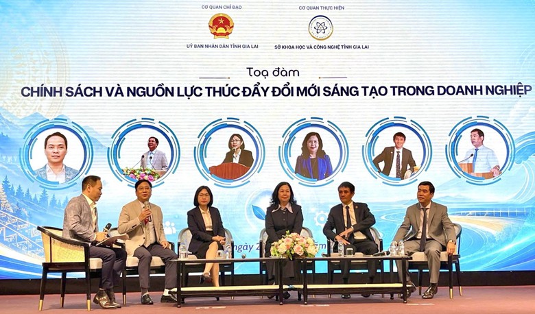 Gia Lai thúc đẩy đổi mới sáng tạo, lấy doanh nghiệp làm trung tâm- Ảnh 3.