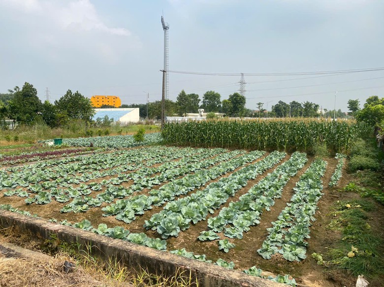 Sở Xây dựng yêu cầu đẩy nhanh giải phóng mặt bằng Khu đô thị Yên Lạc - Dragon City- Ảnh 1.