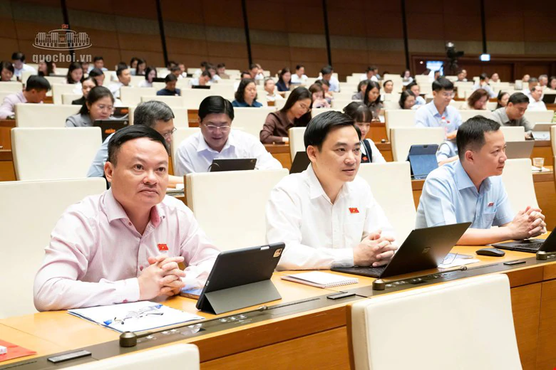 Nhiều đại biểu tán thành chính sách khoan hồng đối với người tự nguyện nhận tội- Ảnh 2.