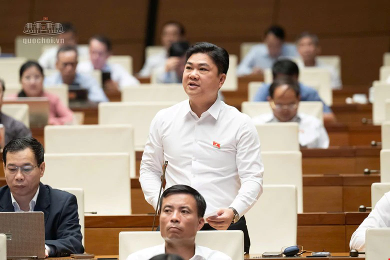 Nhiều đại biểu tán thành chính sách khoan hồng đối với người tự nguyện nhận tội- Ảnh 1.