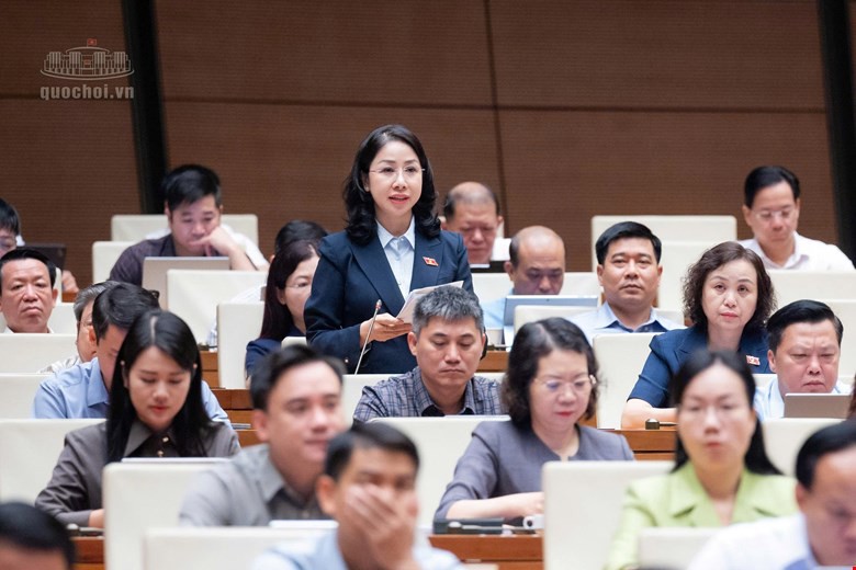 Nhiều đại biểu tán thành chính sách khoan hồng đối với người tự nguyện nhận tội- Ảnh 3.