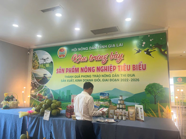 Gia Lai nâng cao hiệu quả hoạt động của hợp tác xã, kinh tế tập thể trong nông nghiệp- Ảnh 1.