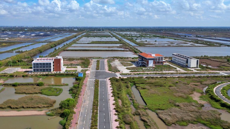 Cà Mau đề xuất tiếp tục thẩm định 7 hồ sơ đầu tư tại Khu công nghệ cao tôm Bạc Liêu- Ảnh 1.
