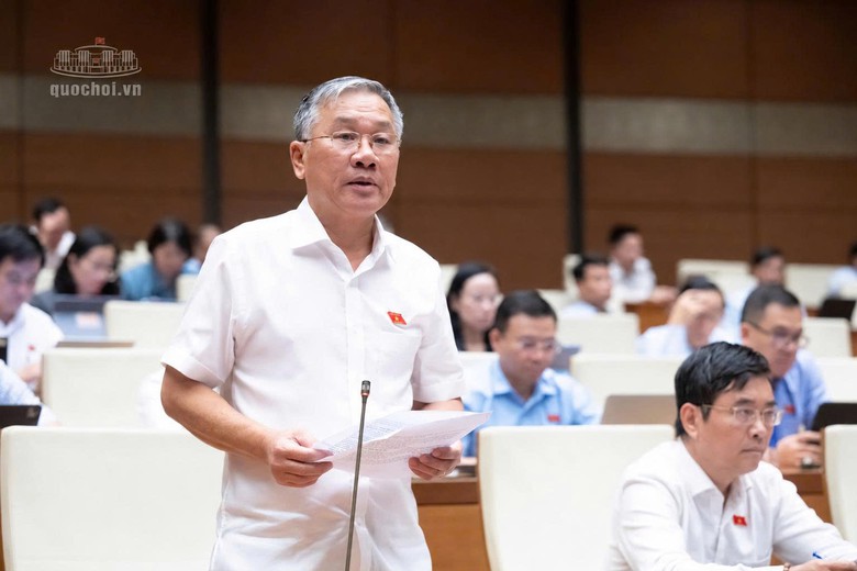 ĐBQH: Giá thuê nhà ở cần gắn với khả năng chi trả của người thu nhập thấp- Ảnh 3.