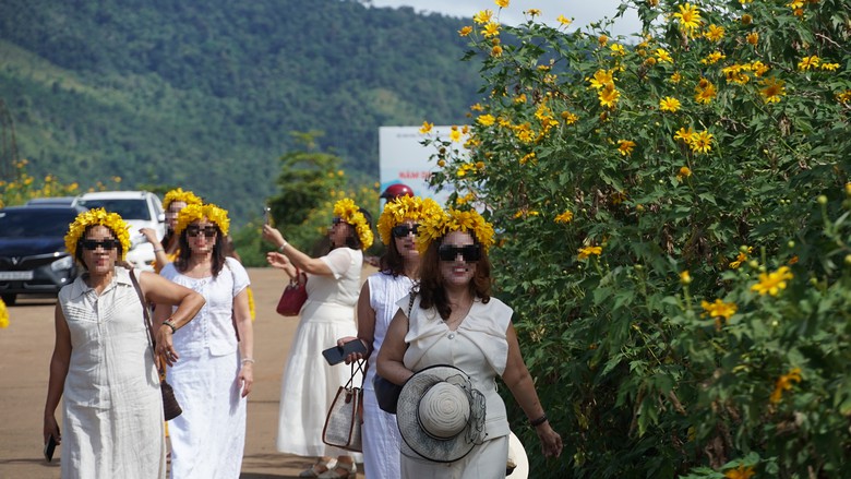 Gia Lai: Yêu cầu người dân không hái hoa, bẻ cành trên đỉnh Chư Đăng Ya- Ảnh 2.