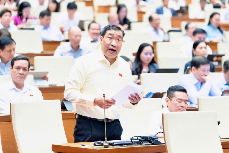ĐBQH: Đề nghị miễn tiền sử dụng đất cho hộ nghèo, cận nghèo là người dân tộc thiểu số - Ảnh 3.
