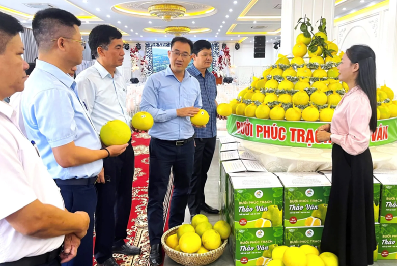 Hà Tĩnh: Quy hoạch nông thôn mới gắn với bảo hộ chỉ dẫn địa lý- Ảnh 1.