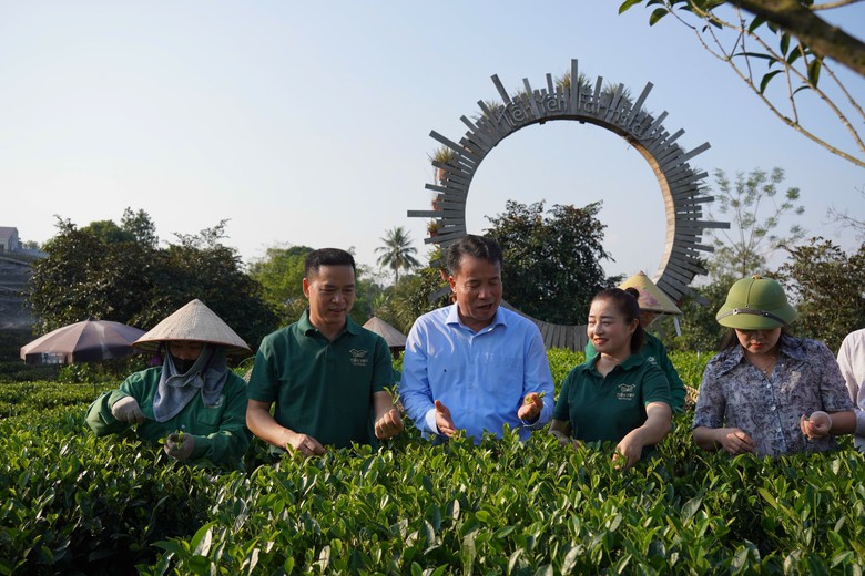Chuyến tàu di sản và hành trình khám phá xứ Trà- Ảnh 11.
