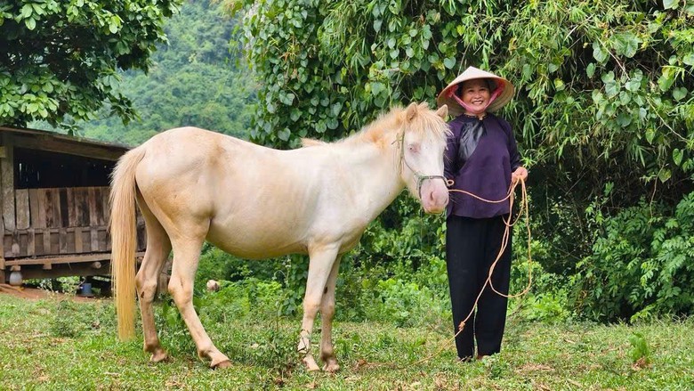 Quân dân đồng lòng phá đá mở đường vào khu dân cư 3 không tại Lạng Sơn- Ảnh 8.