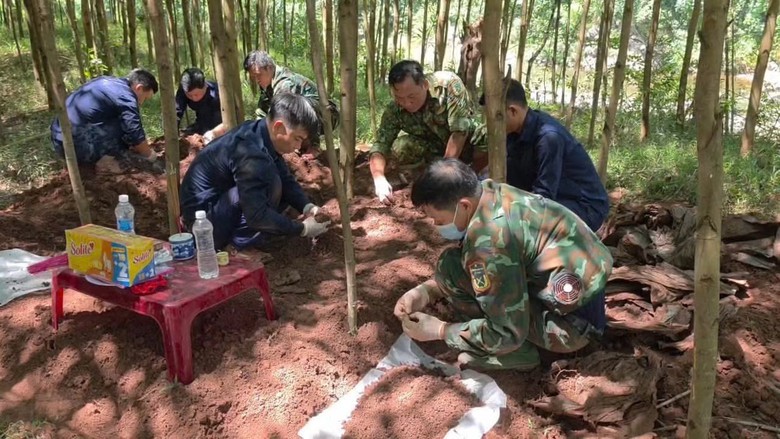 Tìm thấy 13 hài cốt liệt sĩ cùng nhiều di vật trong rừng tràm ở Quảng Trị- Ảnh 1.